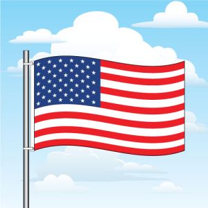6' x 4' American Flag